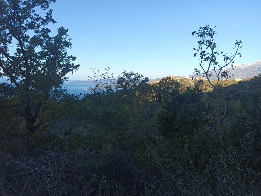 Grundstück in Blizikuce